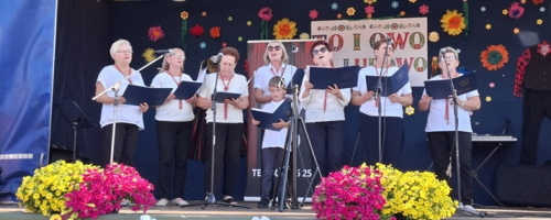 Festyn wiejski w Borowej